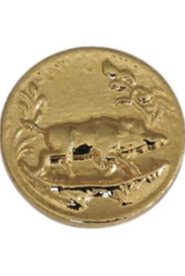 Bouton Sanglier courant